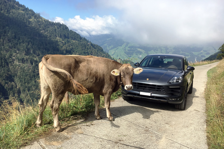 Swisspecial - Private Guiding in Switzerland - Trips - Alpine Dream Roads 5
