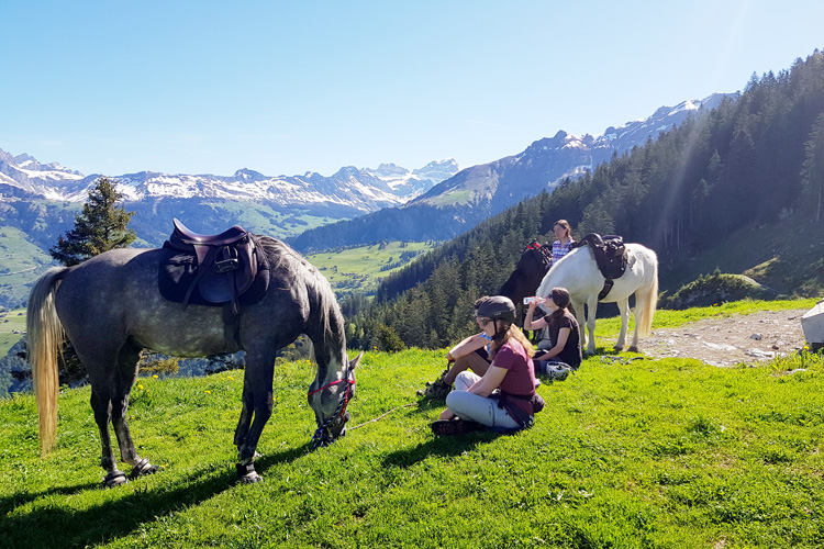 Swisspecial - Private Guiding in Switzerland - Trips - Mountain Horseback Ride 4