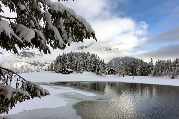 Swisspecial - Private Guiding in Switzerland - Trips - Winter Wonderland 5